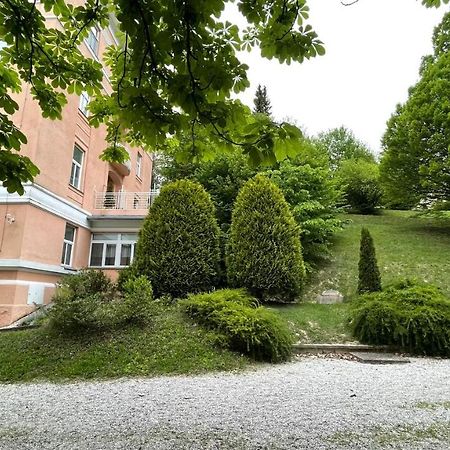 Apartment Juliana Рогашка Слатина Экстерьер фото